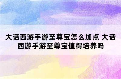 大话西游手游至尊宝怎么加点 大话西游手游至尊宝值得培养吗